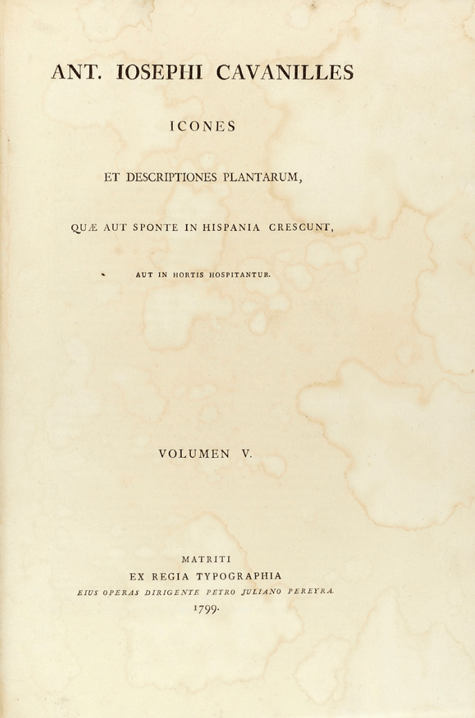A. José Cabanillies, Tomo V