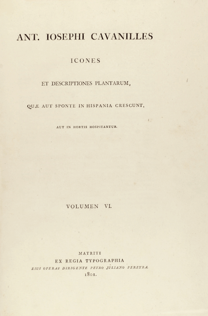 A. José Cabanillies, Tomo VI